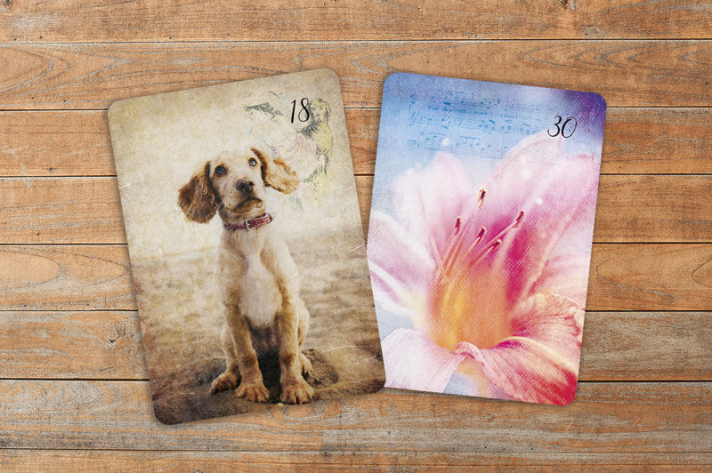 Lilien Hund Lenormand Kombinationen