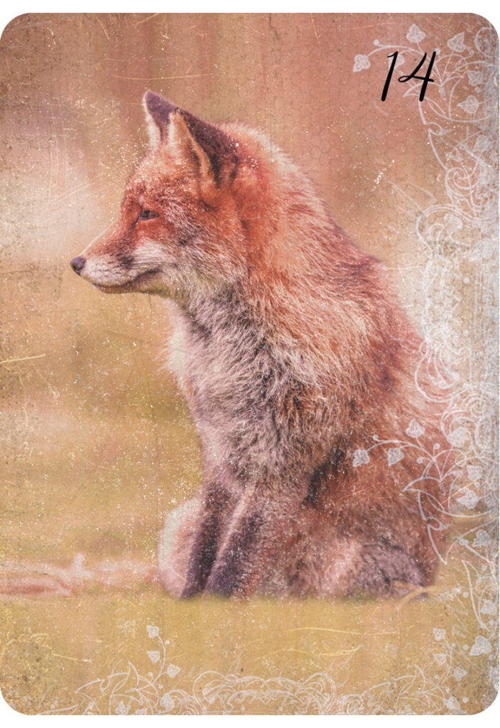 Lichtblick Lenormand Kartendeck Fuchs