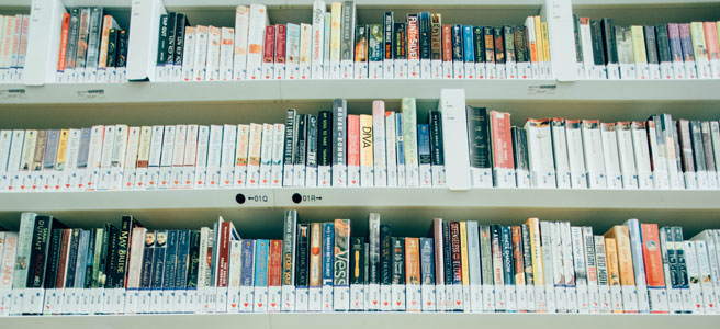 Buch partnersuche